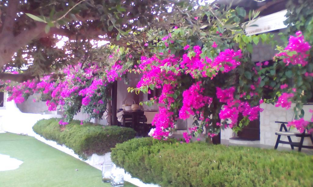 Mykonos TownHidden Heaven别墅 外观 照片